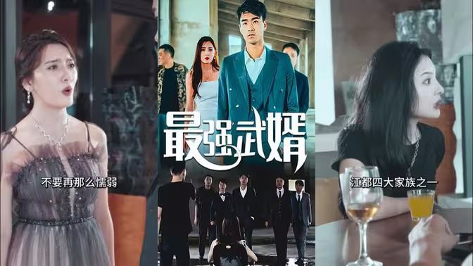 最強(qiáng)武婿(全集)