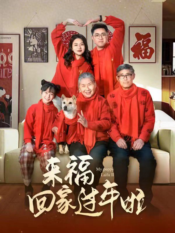 來(lái)?；丶疫^(guò)年啦(全集)