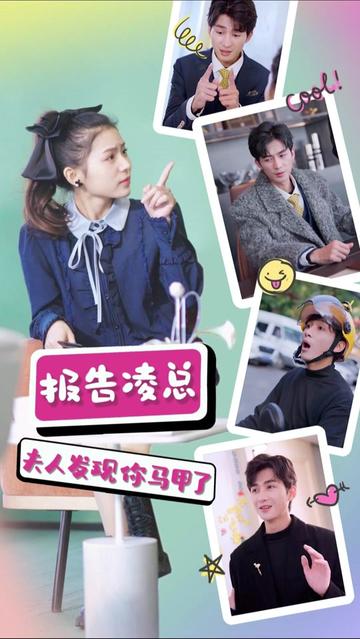 報(bào)告凌總，夫人發(fā)現(xiàn)你馬甲了(全集)