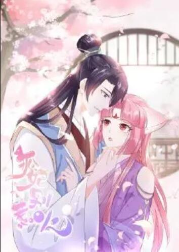 狐妃，別惹火