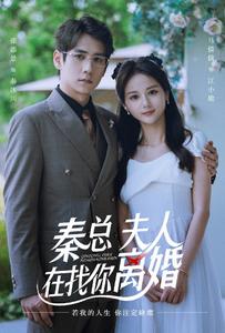 秦總，夫人在找你離婚(全集)