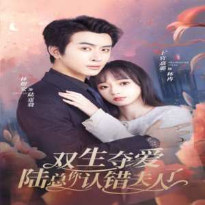 雙生奪愛陸總你認(rèn)錯(cuò)夫人了(全集)