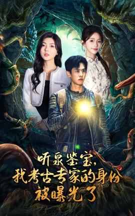 聽(tīng)泉鑒寶，我考古專家的身份被曝光了(全集)