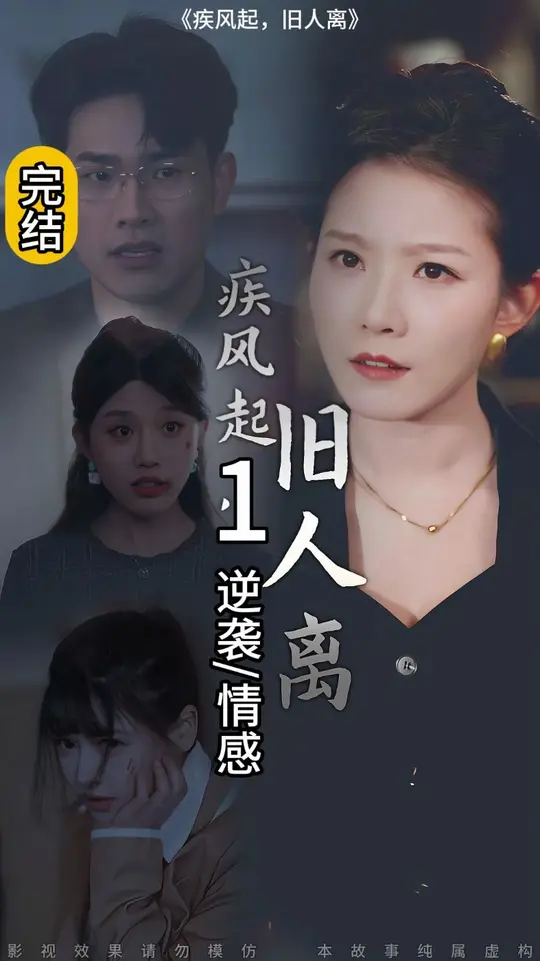 疾風起舊人離(全集)