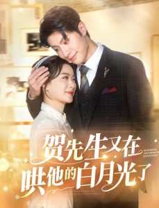 賀先生又在哄他的白月光了(全集)