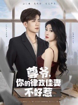 尊爺，你的律政嬌妻不好惹(全集)