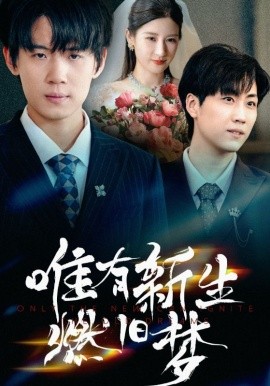 唯有新生燃舊夢(全集)