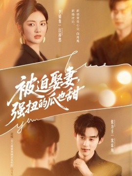 被迫娶妻，強扭的瓜也甜(全集)