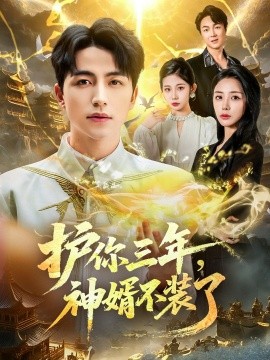 護(hù)你三年，神婿不裝了(全集)
