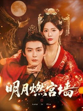 明月燃宮墻(全集)