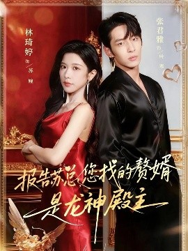 報告蘇總，您找的贊婿是龍神殿主(全集)