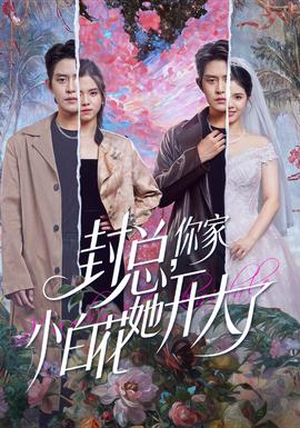 封總，你家小白花她開大了(全集)