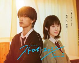 閃爍的愛情第二季(全集)