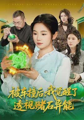 被車撞后，我覺醒了透視賭石異能了(全集)